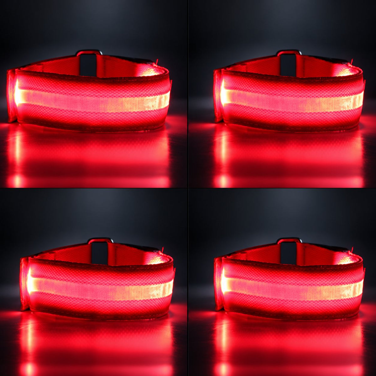 🐎 Glow Stride-benband — LED-belysning för hästens ben
