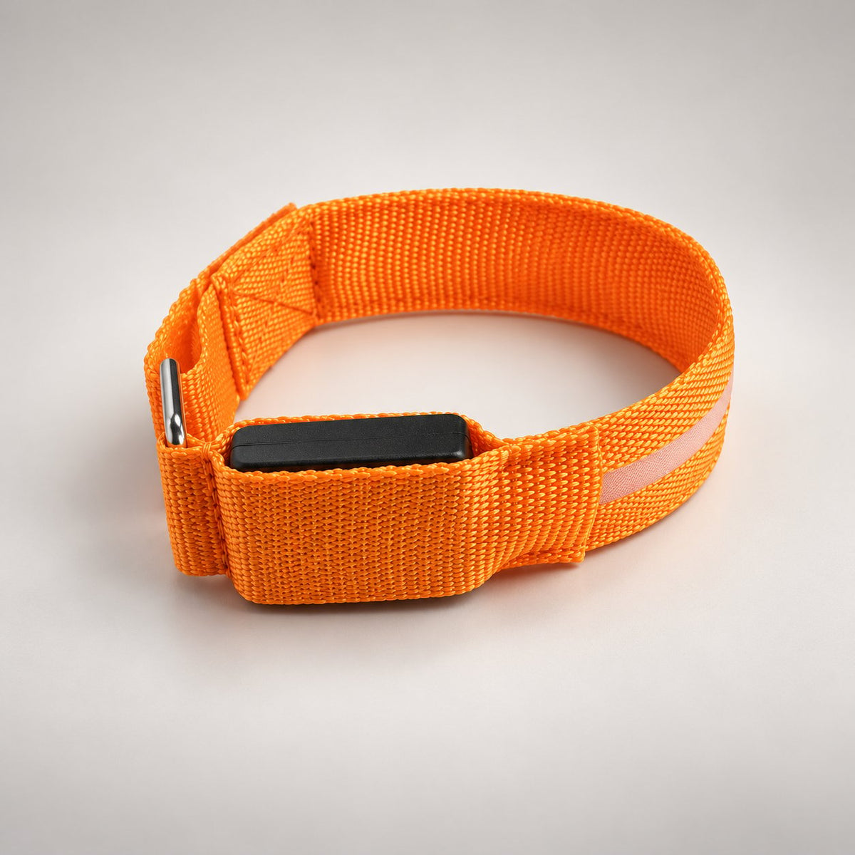 🐎 Glow Stride-benband — LED-belysning för hästens ben