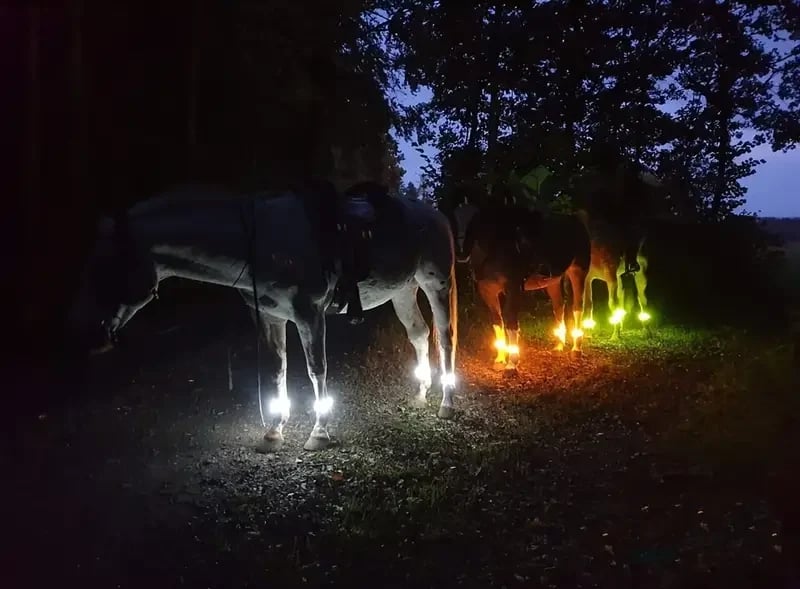 🐎 Glow Stride-benband — LED-belysning för hästens ben
